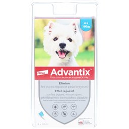 Petit chien de 4 kg - 10 kg