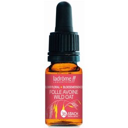 Ladrôme Folle Avoine N°36