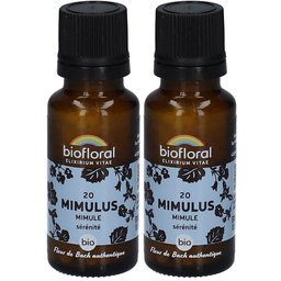 20 Mimulus - Mimule
