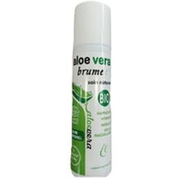Bruma Aloe Vera 175ml