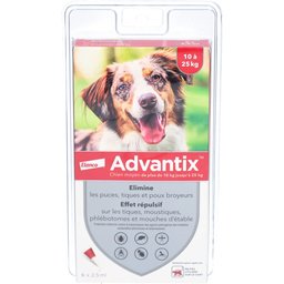 Chien moyen de 10 kg - 25 kg