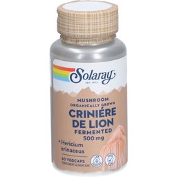 - Crinière de Lion fermenté 500 mg