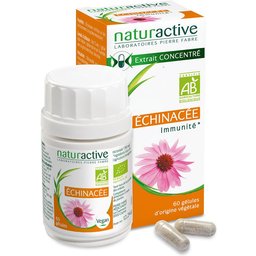 Echinacée BIO
