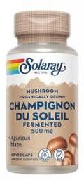 Champignon du Soleil Fermenté 500 mg 60 Capsules Végétales - Boîte 60 capsules végétales