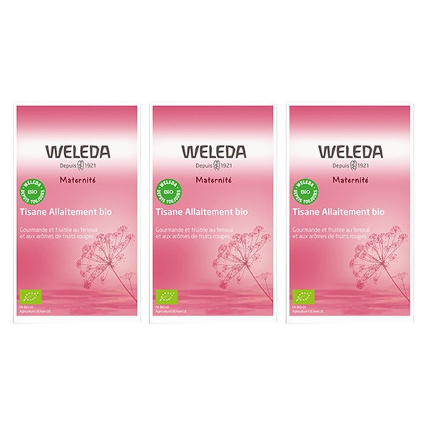 Maternité Tisane Allaitement Fruits Rouges Bio Lot de 3 x 20 sachets