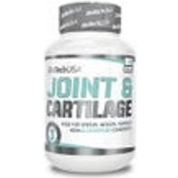 La biotechnologie utilise les articulations et le cartilage 60comp