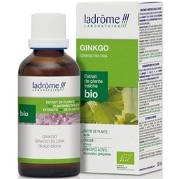 Extraits de plantes fraîches Ginkgo