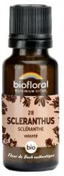 28 Scleranthus Scléranthe Granules Bio 19,5 g - Flacon 19,5 g