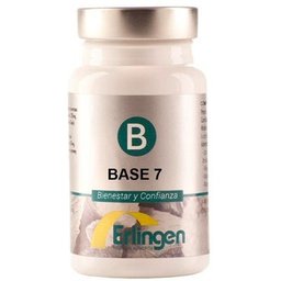 Base 07 60 tabs