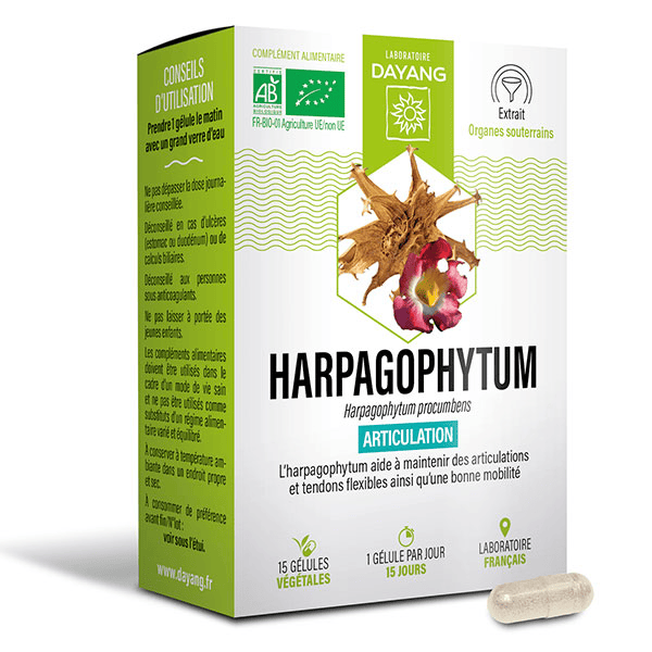 Harpagophytum Bio 15 gélules végétales