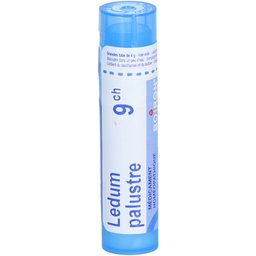 Ledum Palustre 9CH tube-granules