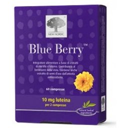 Blue Berry 60Cpr New Nordic