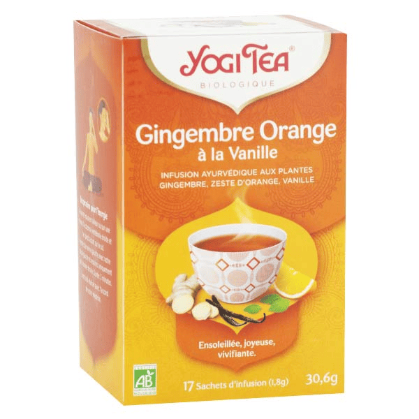 Gingembre Orange Vanille 17 sachets