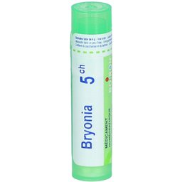 Bryonia 5 ch