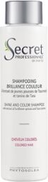 Shampooing Brillance Couleur