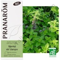 Menthe Poivrée Bio Champ 10ml Huile Essentielle