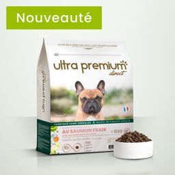 Croquettes sans céréales au saumon frais pour chien adulte de petite taille (<10kg)