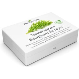 Bourgeons de sapin
