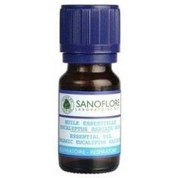 Huile Essentielle Eucalyptus Radiata Bio 10 ml