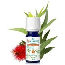 Huile Essentielle Eucalyptus Radié Bio 10ml