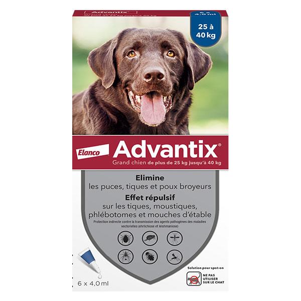 Chien Solution Antiparasitaire Grande Race 25 à 40kg 6 pipettes