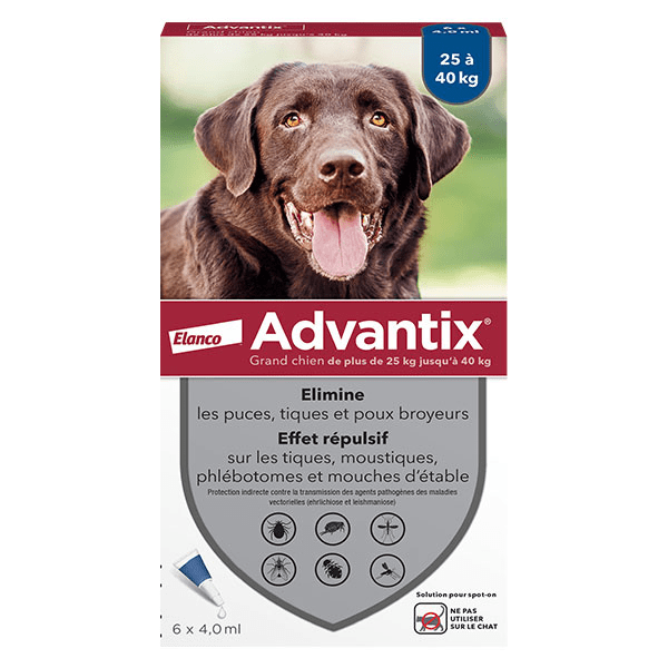 Chien Solution Antiparasitaire Grande Race 25 à 40kg 6 pipettes