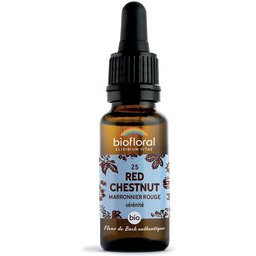 25 - Red chestnut - Marronier rouge - 20 ml