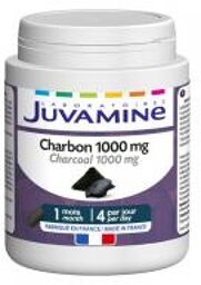 Charbon 1000 mg 120 Gélules - Pot 120 gélules