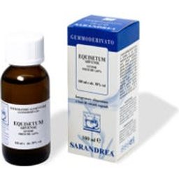 Equisetum Arvense 100ml