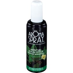 He Menth/Eucal Spr100ml