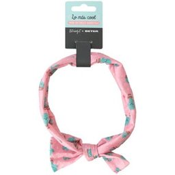 Mr Wonderful Cinta de Pelo Cactus 1ud