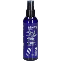 Eau florale de tea tree Bio