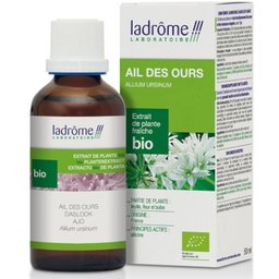 Ladrôme Extrait de plante fraîche Ails des ours Bio