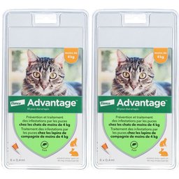 Advantage 40 pour chat et lapin