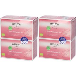 Tisane Allaitement Bio Fruits rouges
