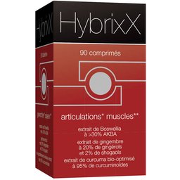 HybrixX Articulations - Muscles