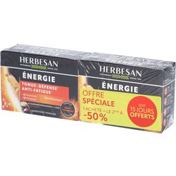 Herbesan Energie