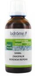 Xtrait de Plantes Fraîches Naturel Sabal 50 ml - Flacon 50 ml