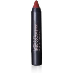Cameleon colourstick no. 7 (terra) 4g