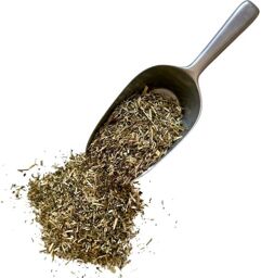 Tisane Mélilot Jaune plante 250 GRS Mélilotus officinalis.