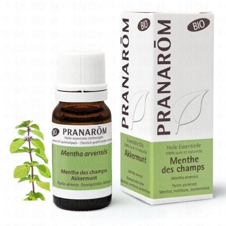 Huile essentielle menthe des champs bio 10ml