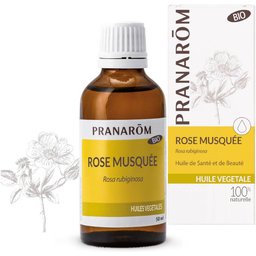 Roses Musquée