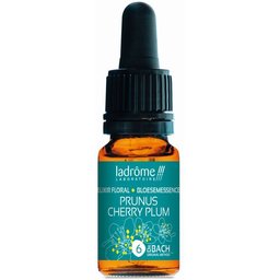 Ladrôme Prunus N°6