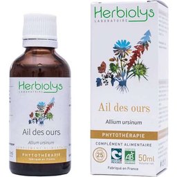 Ail Des Ours 50ml