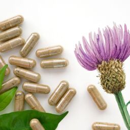 Gélules BARDANE RACINE dosées à 250mg - 1000 gélules sachet vrac