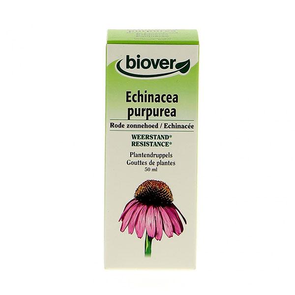Echinacée - Echinacea Purpurea Teinture Bio 50ml