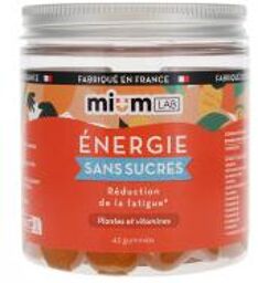 Énergie Sans Sucres Plantes et Vitamines 42 Gummies - Pot 42 gummies