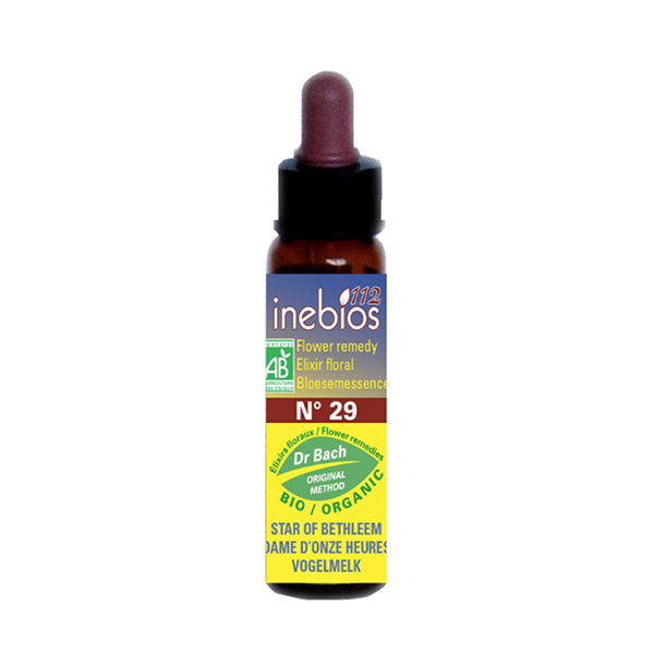Fleur de Bach n°29 Star of Bethleem - Dame d'Onze Heures Bio 10ml