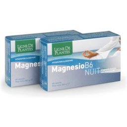 Magnésium B-6 Nuit 72caps