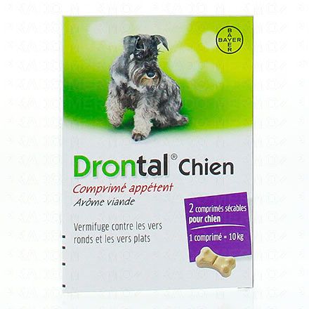 Chien - comprimés appétents boîte de 2 comprimés